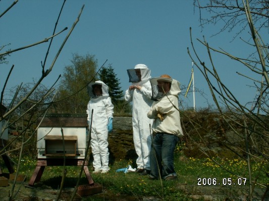Bikurs 2006